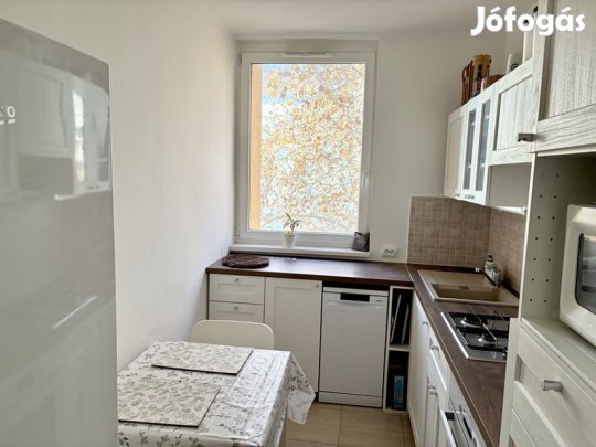 IX. Kerület, Börzsöny utca, 54 m2-es, társasházi lakás, 2 szobás