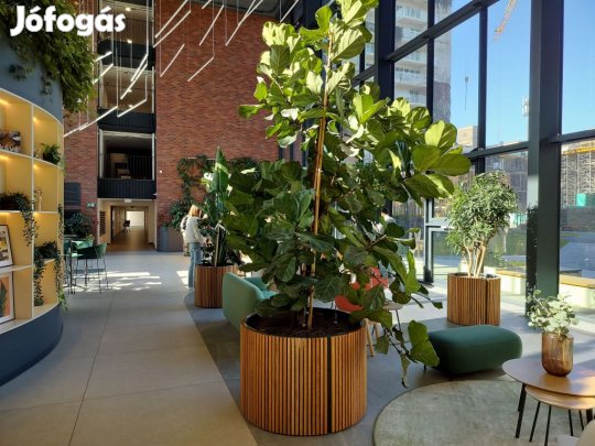 IX. Kerület, Vágóhíd utca, 38 m2-es, társasházi lakás, 1+1 szobás