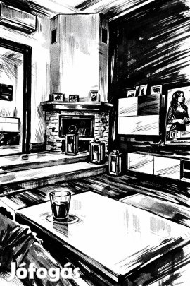 I I. Kerület lakástakarítás, vasalás, heti 2 alkalom