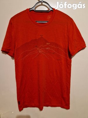 Icebreaker merino poló s