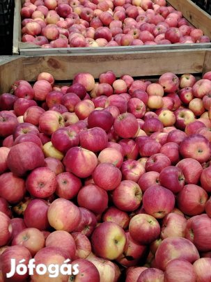 Idared alma termelőtől eladó!