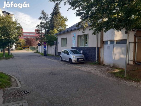 Igazi különlegesség a belváros szívében