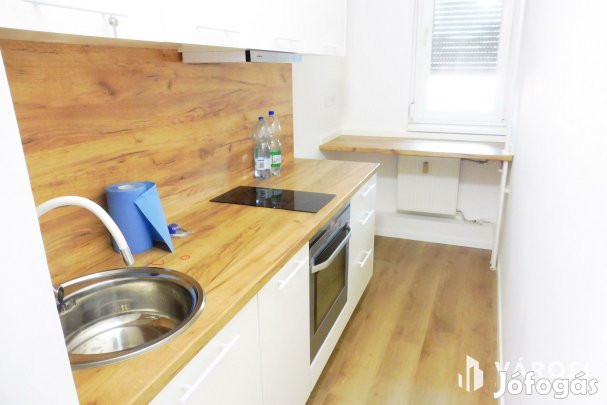 Igényes kis lakás üzleti tevékenységre kiadó.