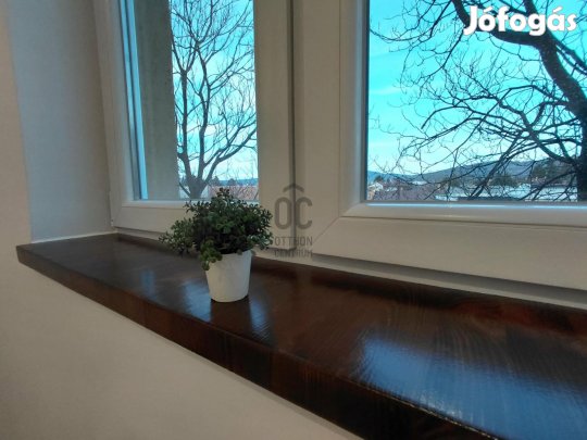 Igényesen, aprólékos részletességgel felújított 1 szobás lakás liftes