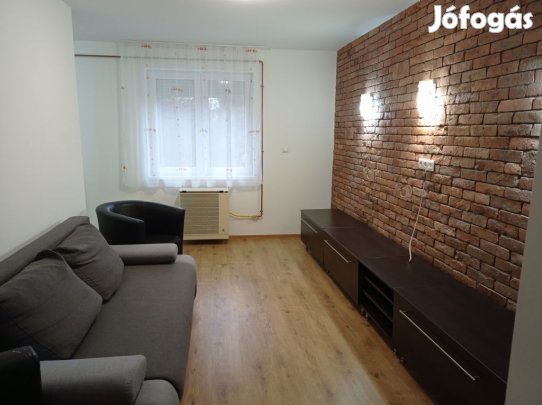 Igényesen felújított, 2 szobás lakás kiadó