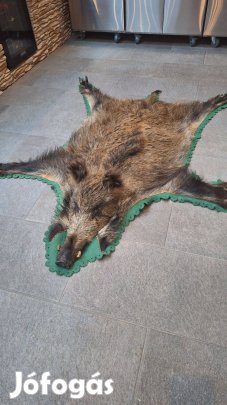 Igényesen kikészített nagyméretű vaddisznóbőr eladó