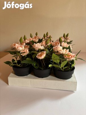 Ikea Fejka Cserepes műnövény művirág rózsa kaspóval esküvői dísz A01