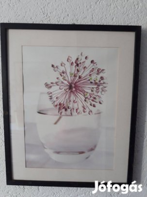 Ikea dekorációs kép