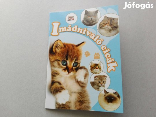 Imádnivaló cicák-Teljesen Új ismeretterjesztő füzet gyermekeknek eladó