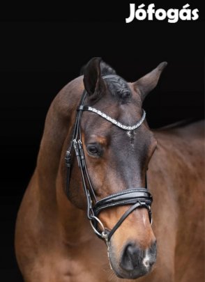 Imperial Riding Olympia Kantár