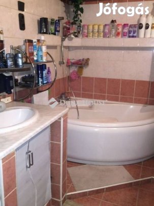 Inárcsi 215 nm-es ház eladó