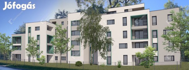 Indul a 4. ütem a  Harmatosvölgy Déli oldalán!!!