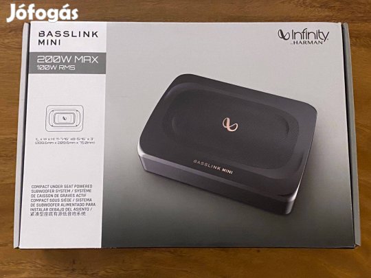 Infinity Basslink Mini