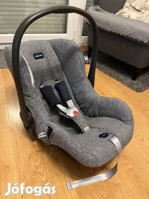 Inglesia babahordozó