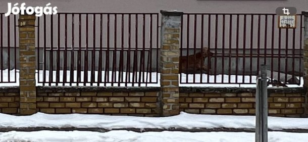 Ingyen Elvihető Tégla Bontásért Cserébe Keramit