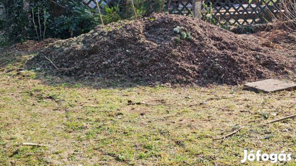 Ingyen elvihető faapríték, mulcs, ágdarálék