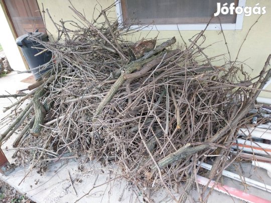 Ingyen elvihető kerti zöldhulladék 