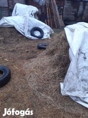 Ingyen széna, lucerna