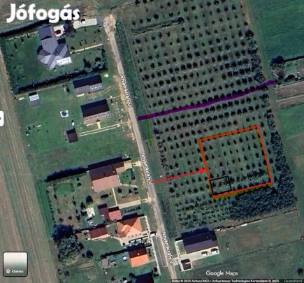 Ingyenes almafák átadása