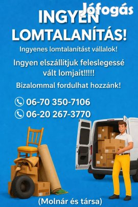 Ingyenes lomtalanítás