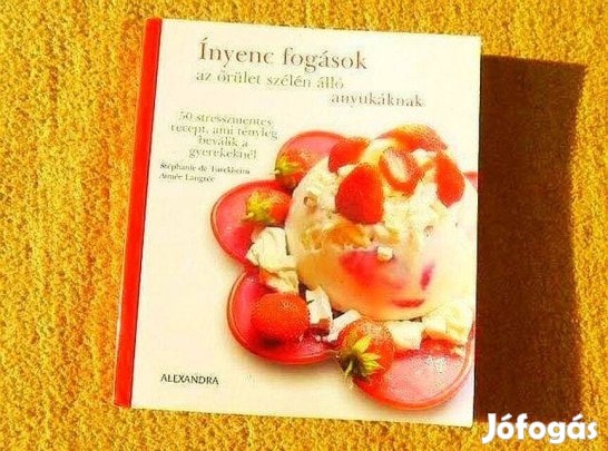 Ínyenc fogások az őrület szélén álló anyukáknak - (Új könyv)