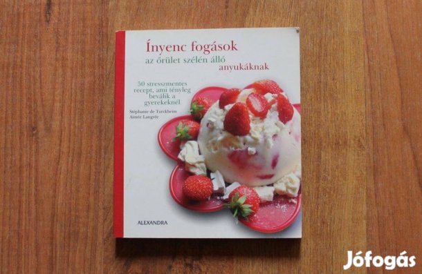 Ínyenc fogások az őrület szélén álló anyukáknak ( szakácskönyv )