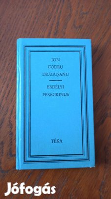 Ion Codru Drăguşanu - Erdélyi peregrinus