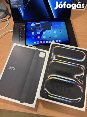 Ipad Pro M4 256GB Wifi 100% Akku + Smart Folio Tok