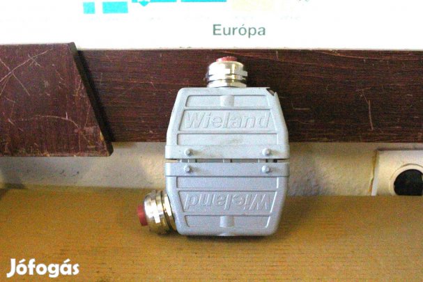 Ipari csatlakozó 24 polusú Wieland ( 6981 )
