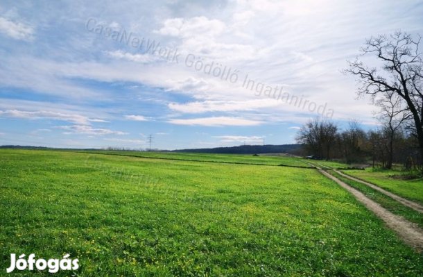 Ipari fejlesztésre alkalmas telek