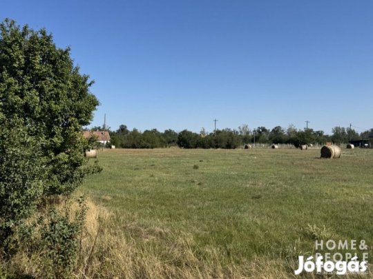 Ipari/tanya telek eladó Hódmezővásárhelyen!