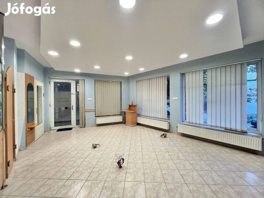 Irányi D. Utcában 53 M2-Es Üzlethelyiség Eladó