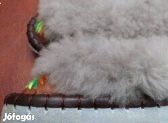 Irha mamusz házi cipő gyerek méret Új