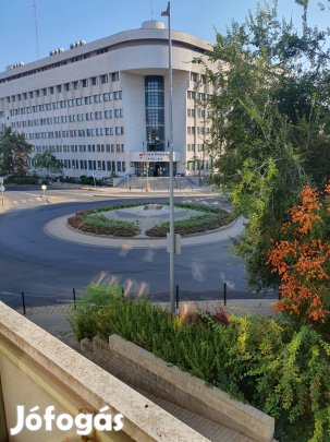 Iroda ,üzlet kiadó