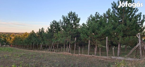 Isaszeg Ürgemajori telek