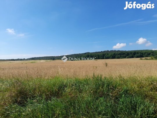 Isaszegi eladó 13937 nm-es telek