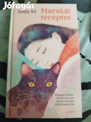 Isida Só - Macskát receptre, japán regény