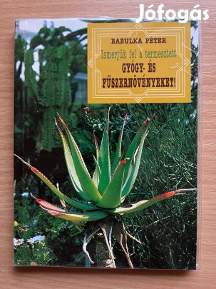 Ismerjük fel a termesztett gyógy- és fűszernövényeket