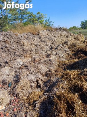 Istáló trágya !!