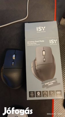 Isy Wireless Dual Mode Mouse Pro