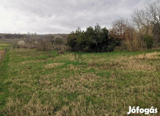 Iszkaszentgyörgyi 4004 nm-es telek eladó