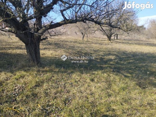 Iszkaszentgyörgyi 4350 nm-es telek eladó