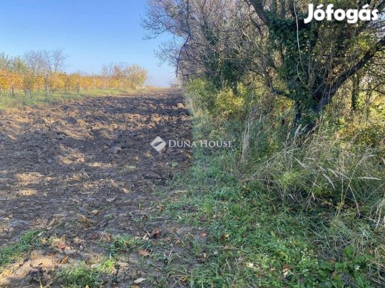 Isztiméri 1626 nm-es telek eladó