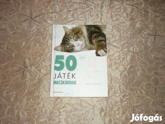 J50 játék macskáknak - hogyan készítsünk otthon játékot kedvencünknek