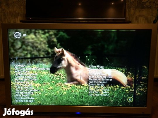 JVC 106 cm Lcd Tv hibás