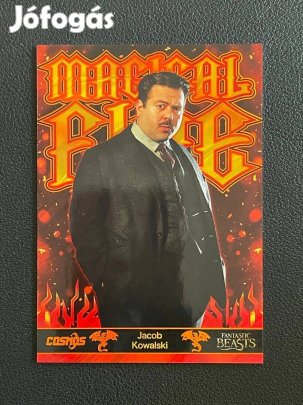 Jacob Kowalski (Dan Fogler) számozott kártya