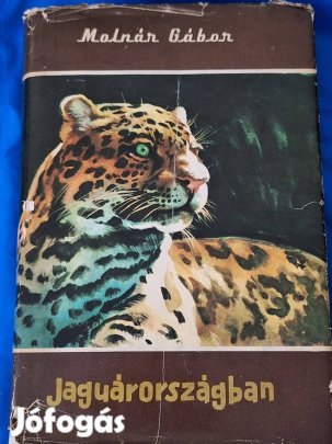 Jaguárországban ( Világjárók )