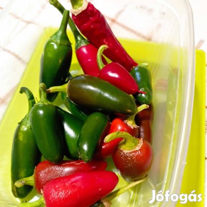 Jalapeno chili mag 20 db 2025-ös (habanero, jolokia, skorpió)