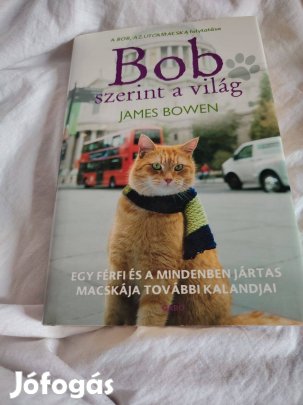 James Bowen: Bob szerint a világ (Bob, az utcamacska 2.)