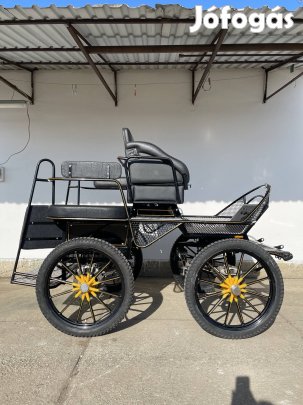 Jártaókocsi, jártató kocsi, hintó